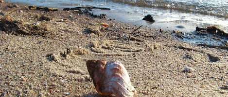 Bungalow | View from property