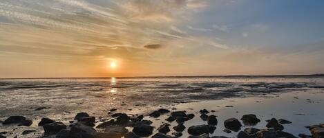 Ferienhaus | Blick von der Unterkunft
