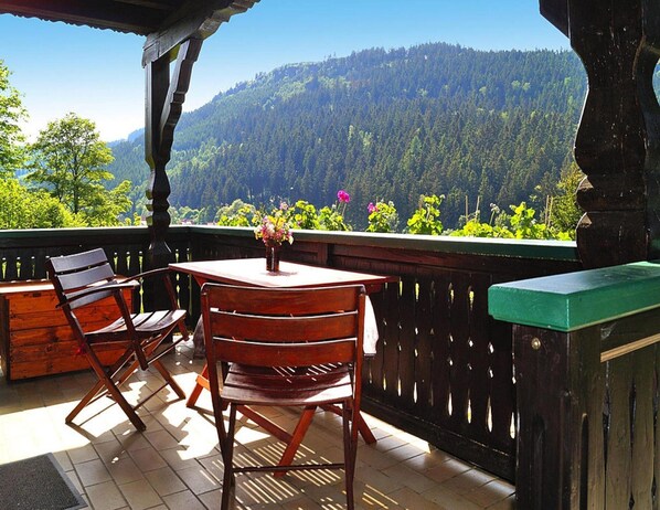 House | Balcony - Ferienhaus Am Hermannsberg, Oberschoenau (Steinbach-Hallenberg)