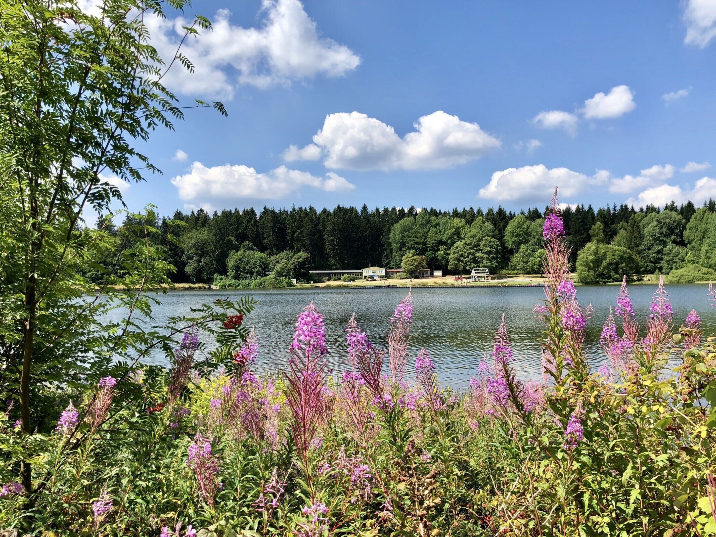 Vue depuis l’hébergement