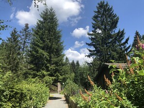 Exterior - Ferienhaus in Clausthal-zellerfeld mit Terrasse (Clausthal-Zellerfeld)