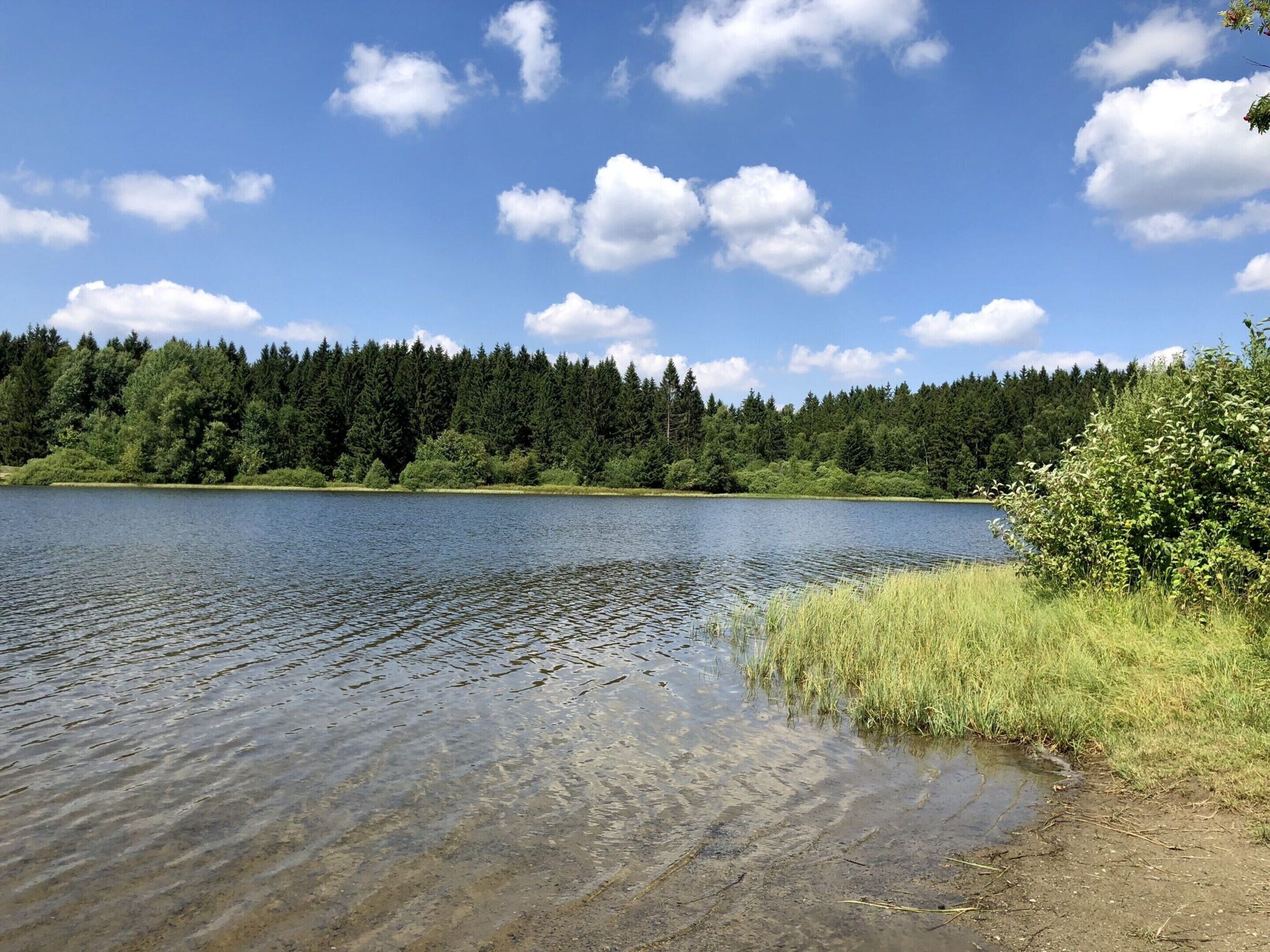 Um lago calmo com margens arborizadas e céu azul límpido.