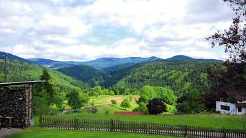 Apartment | View from property