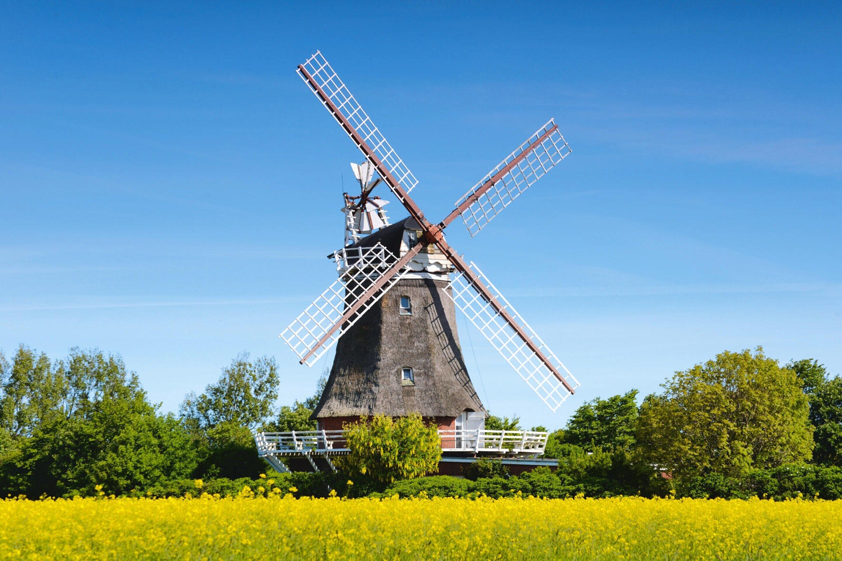A traditional windmill with a thatched roof, surrounded by a field of yellow flowers and green trees under a clear blue sky.