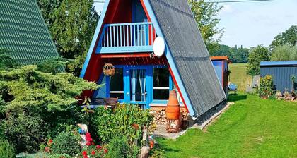 Roof House Near Dummer See With Rowing Boat