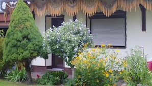 A house with a well-maintained garden, a large coniferous tree, and a variety of flowering plants. - Reihenhaus in Lubben an der Spree (Lübben (Spreewald))