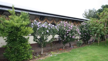 Bungalow | Exterior
