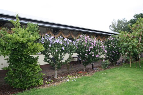 Reihenhaus in Lubben an der Spree