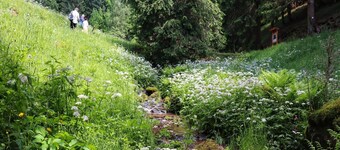 Wohnung Steinbach Nahe Skihalle Oberhof