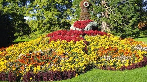 Ein Garten mit einem großen, farbenfrohen Blumenbeet und einem Baum mit einer Formschnittskulptur.