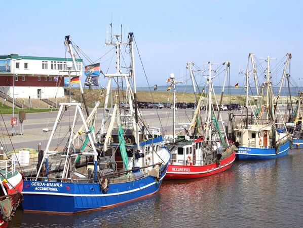 Bungalow | View from property - House, Dornumersiel (Dornum)
