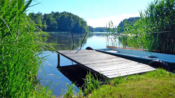 Eine Holzstege reicht in einen ruhigen See, umgeben von üppigem Grün und Bäumen.