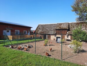 Apartment | View from property