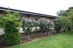 A garden with flowering trees and a building with a flat roof.