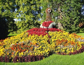 House | Garden - Feriendorf Ofingen, Bad Durrheim (Bad Duerrheim)