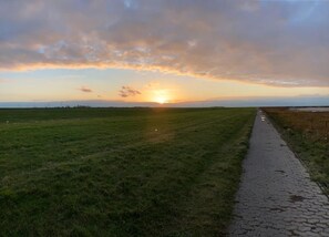 Bungalow | Vue depuis l’hébergement