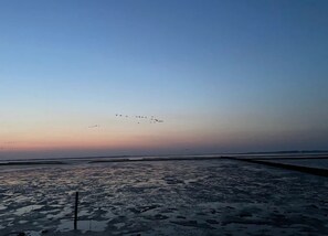 Bungalow | Vue depuis l’hébergement