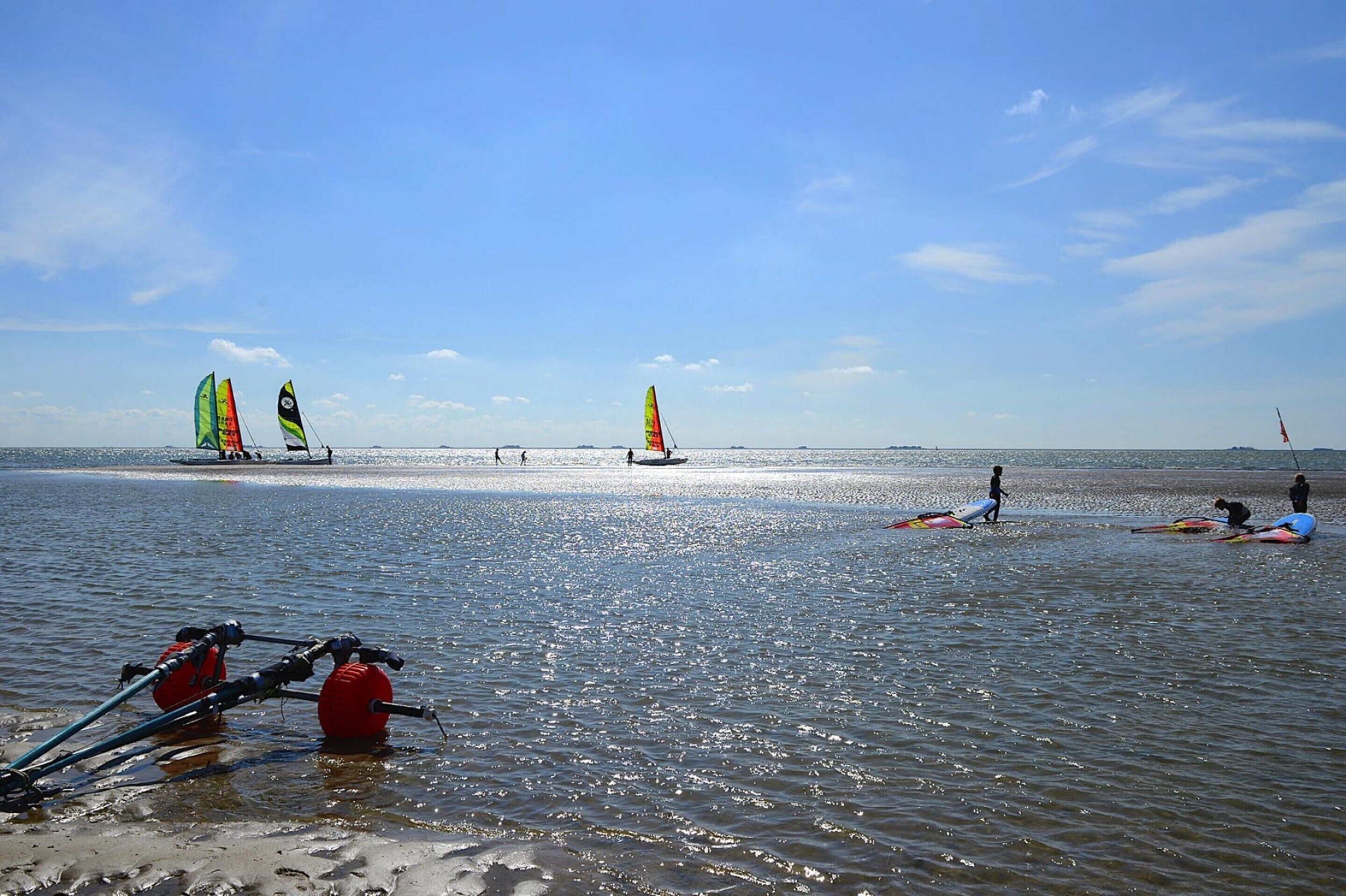 Una playa con equipo de windsurf y gente.