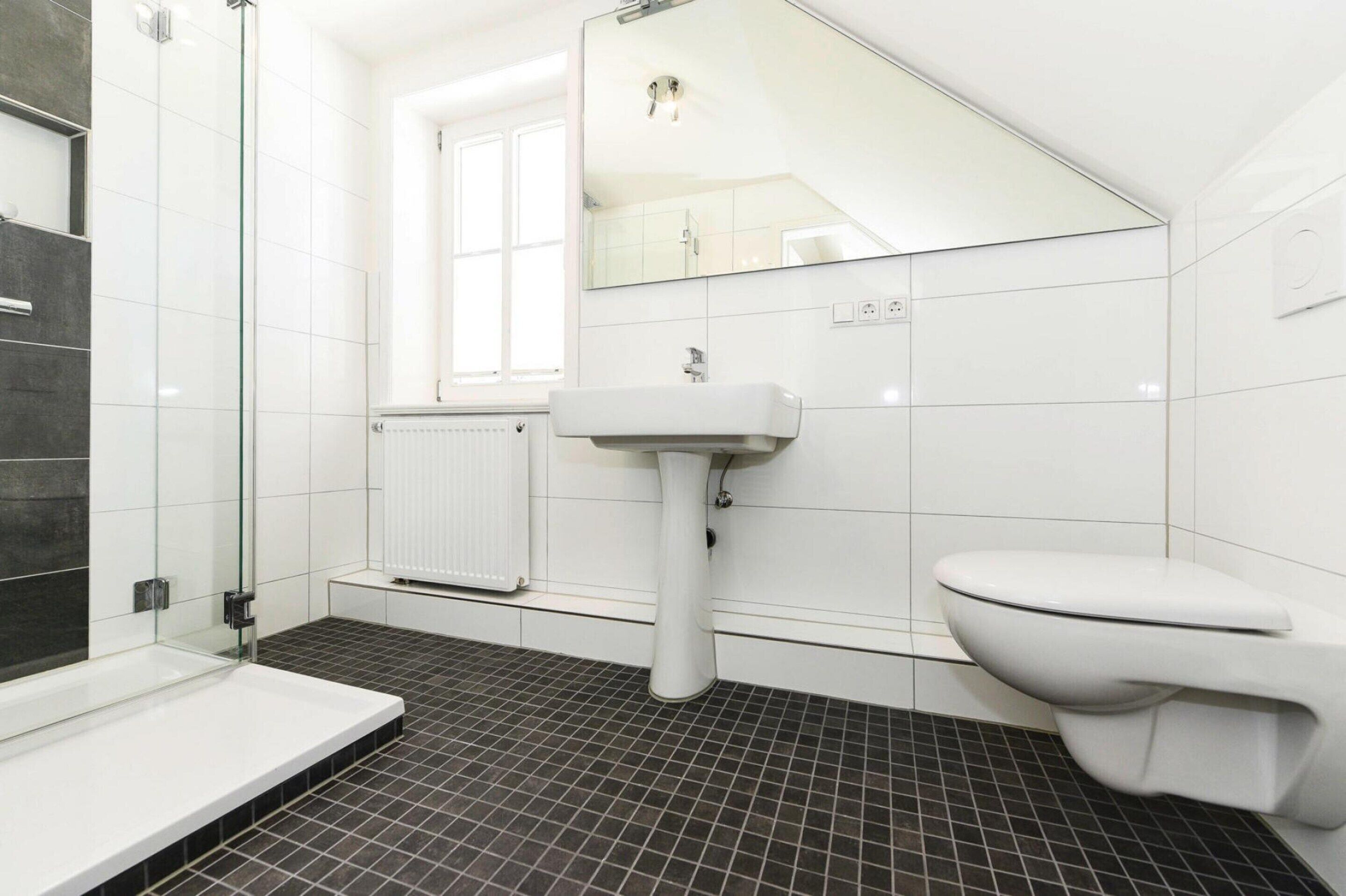 A modern bathroom with a glass shower enclosure, a white sink, and a toilet.
