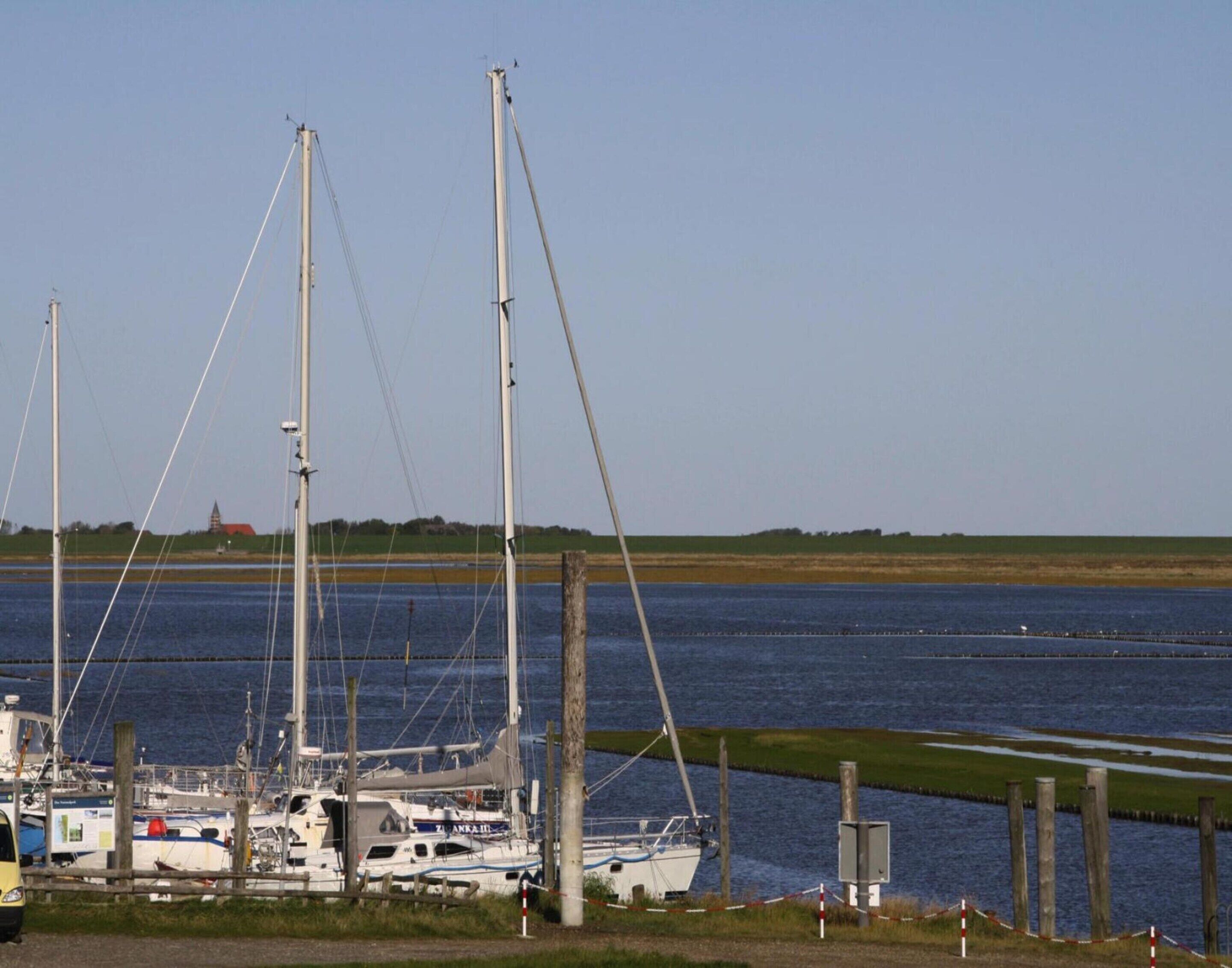A marina with several sailboats docked, a grassy area, and a distant building.