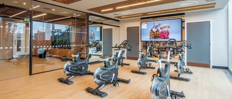 A gym with multiple stationary bikes, a large mirror, and a television displaying dogs.