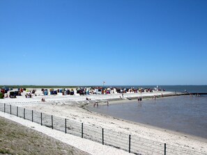 Une plage avec une clôture, des gens et une jetée.