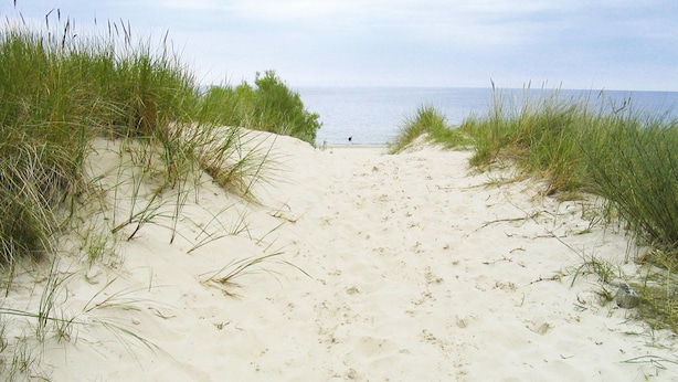Un sentier de sable qui longe la plage et mène à la mer, bordé d’herbe.