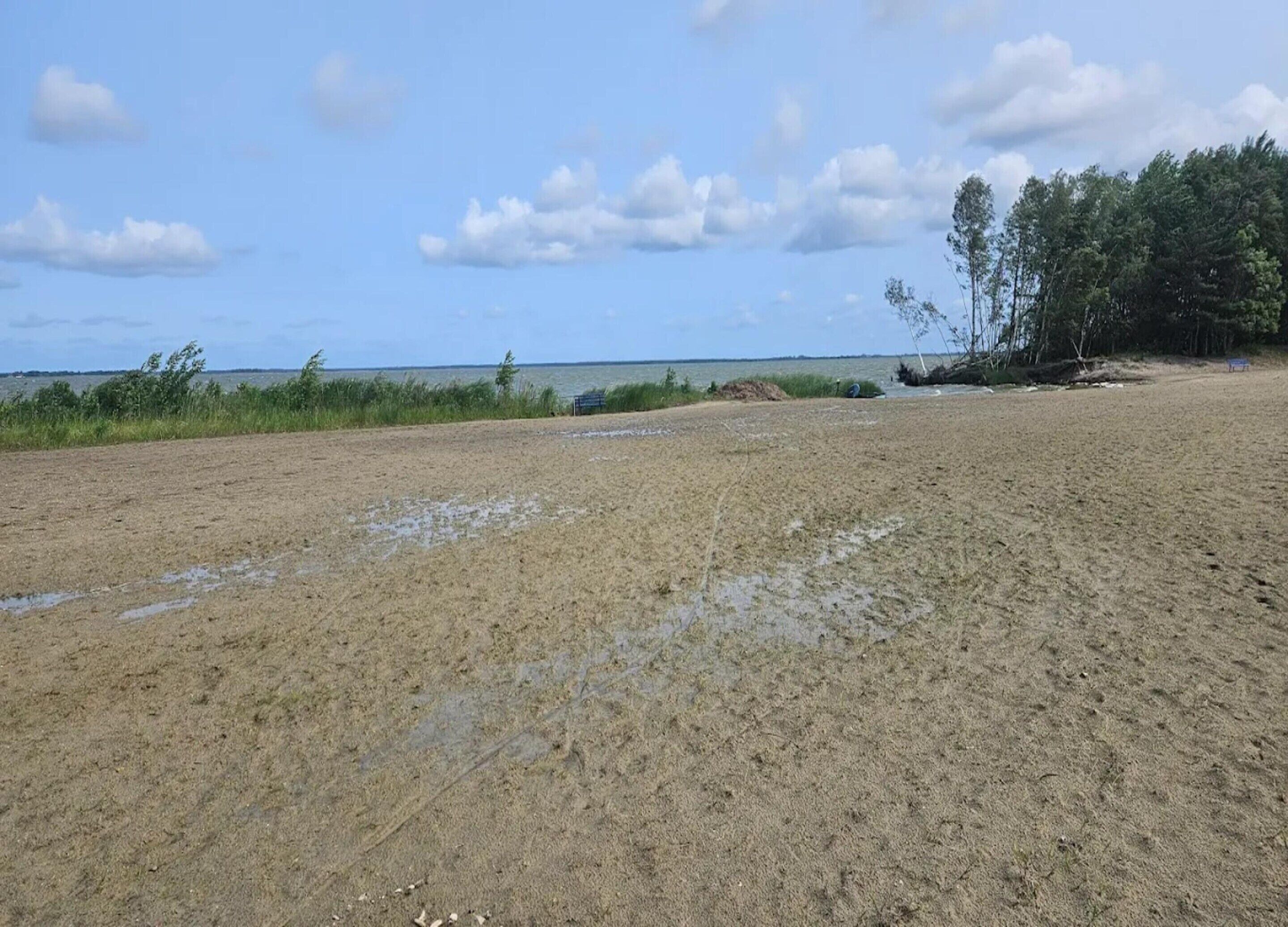 A sandy beach with a bench and trees in the background.