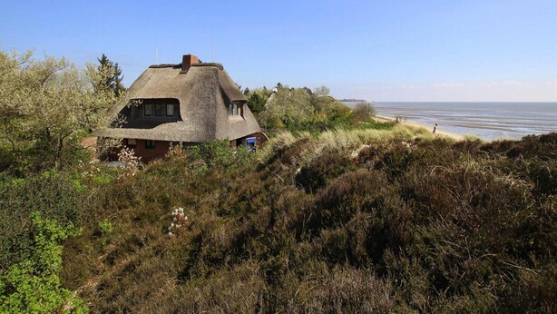 A thatched-roof house with a view of the sea. - Ferienhaus am Watt, List auf Sylt (List)