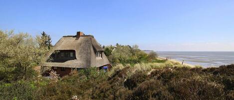 House | View from property