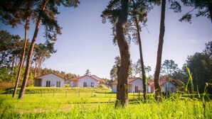A row of white cottages with red roofs, surrounded by tall pine trees and a grassy field. - Gemutlicher Bungalow in Storkow am See (Storkow)