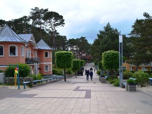 Apartment | View from property - Ferienwohnung Strandidyll, Trassenheide (Trassenheide)