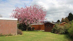 Un quartier résidentiel avec un grand arbre en fleurs, un bâtiment en briques et une structure en bois.