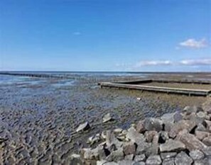 Apartment | View from property - Wohnung in Friedrichskoog-spitze mit Parkplatz (Friedrichskoog)
