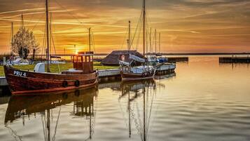 Vista desde la propiedad