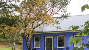 A blue building with a tiled pathway leading to the entrance.