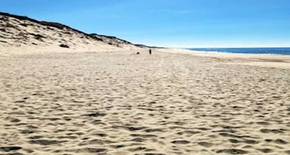 4 Star Holiday Home in Ulfborg