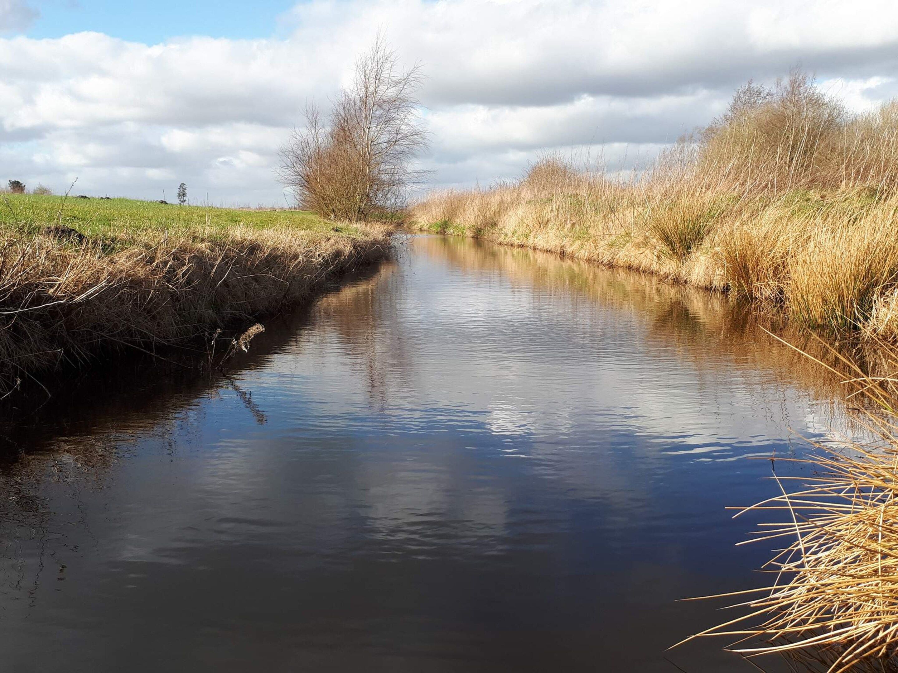 A narrow waterway flanked by grassy banks and a clear sky.