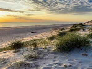 En strand med klitter og sparsom vegetation.
