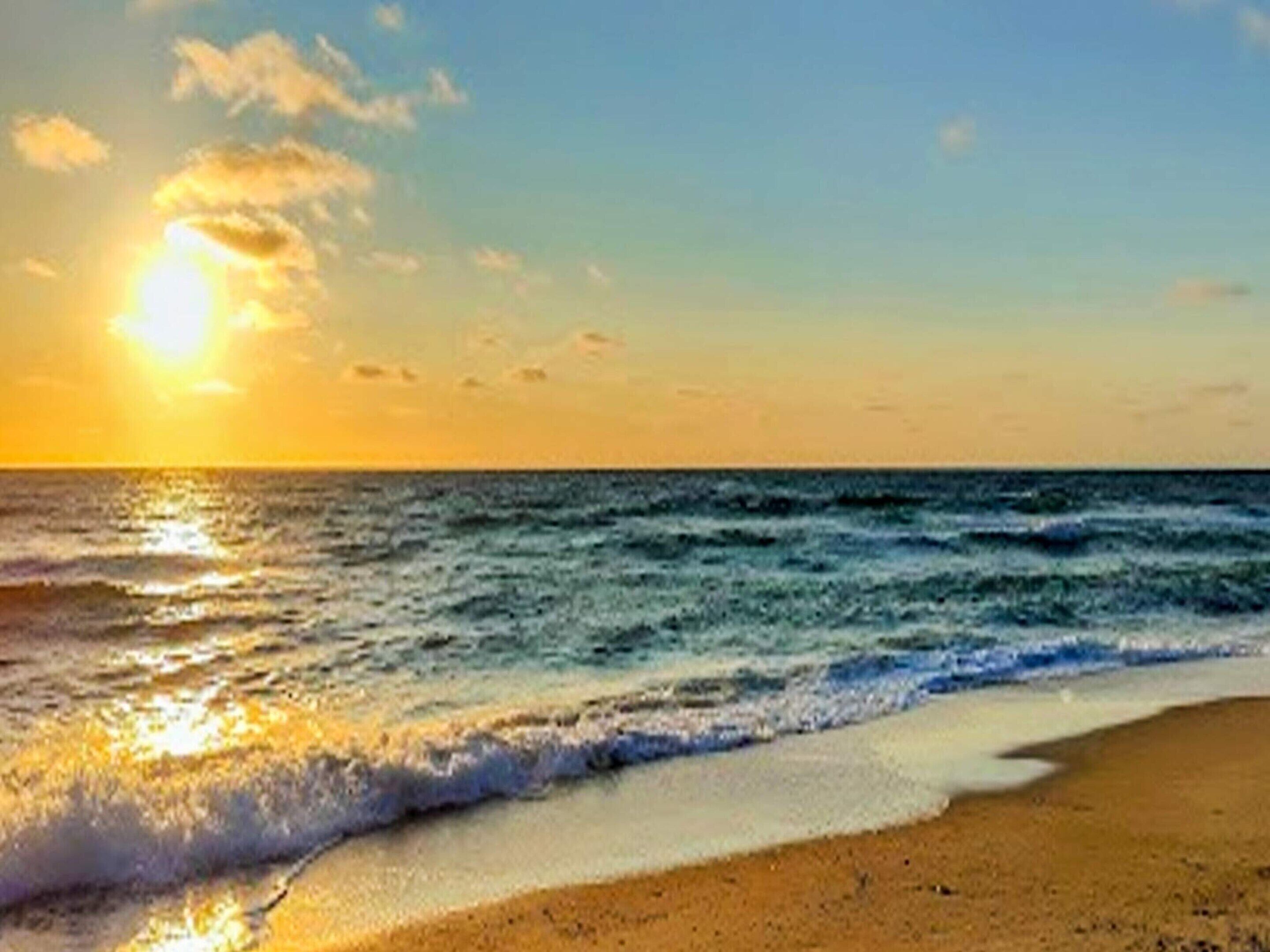 Vista desde la propiedad