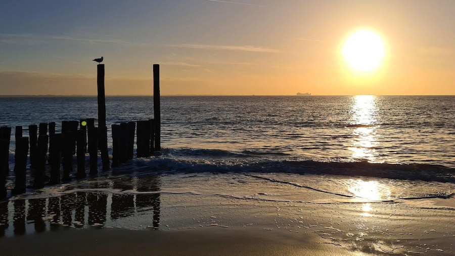 Beachside Getaway With Garden & Barbecue