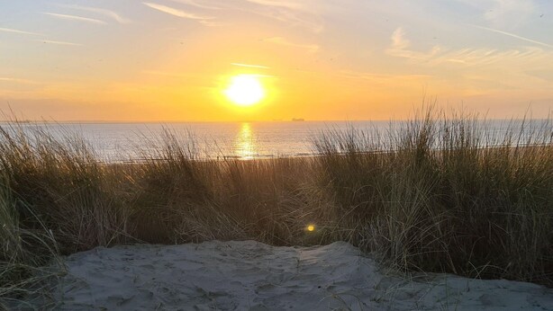 A beach scene with sand and grass in the foreground, a body of water, and a sunset in the background.