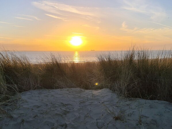 House | View from property - Beachside Getaway With Garden & Barbecue (Baarland)