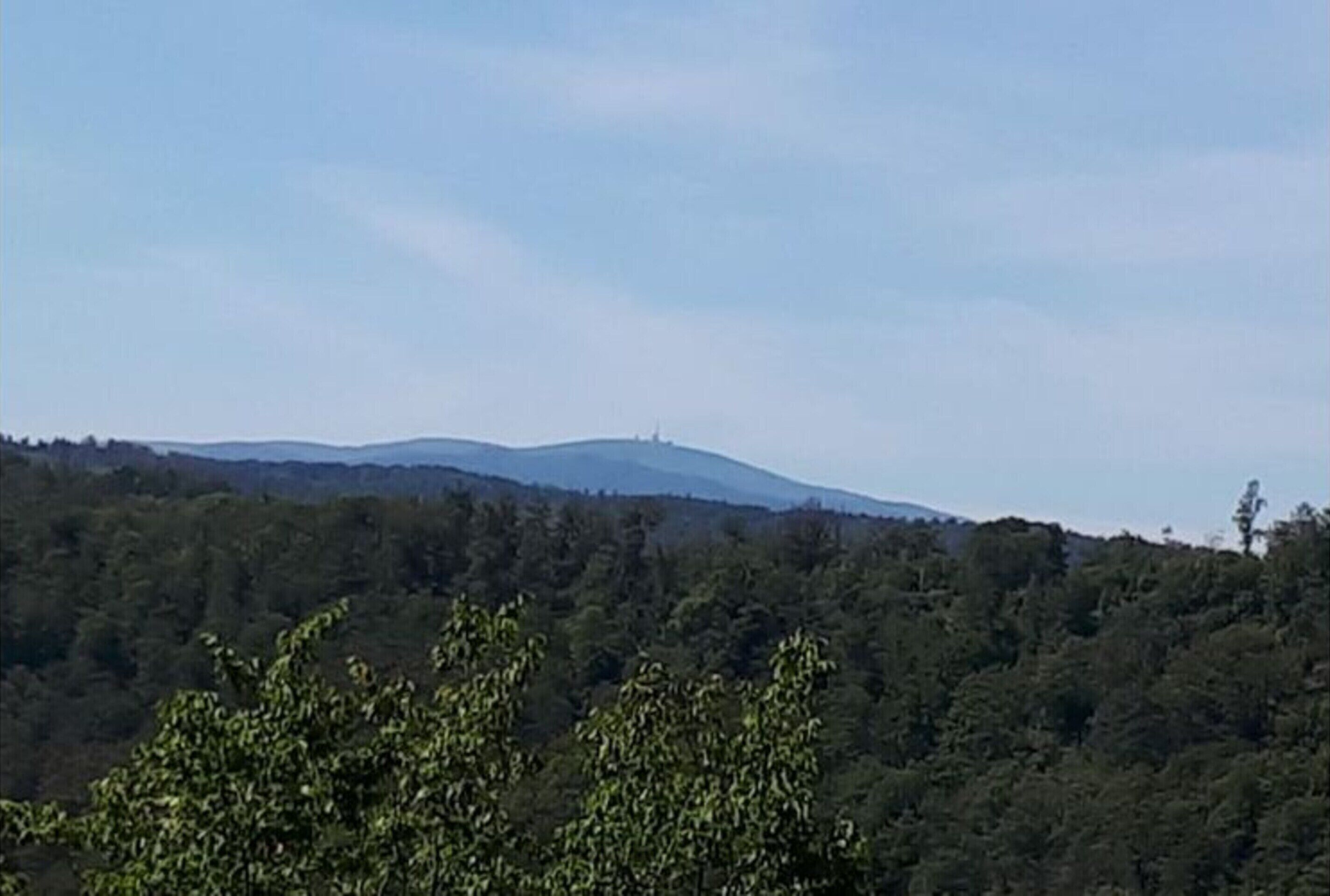 Une vue d’une colline boisée sous un ciel dégagé.