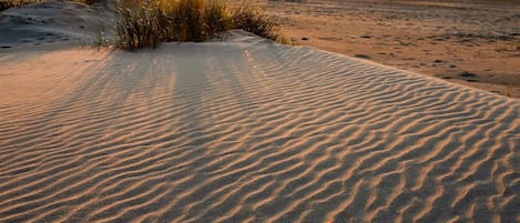 Departamento | Vista desde la propiedad