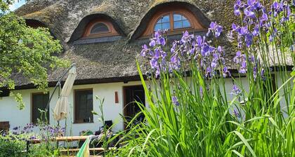 Retreat With Garden & Family Amenities