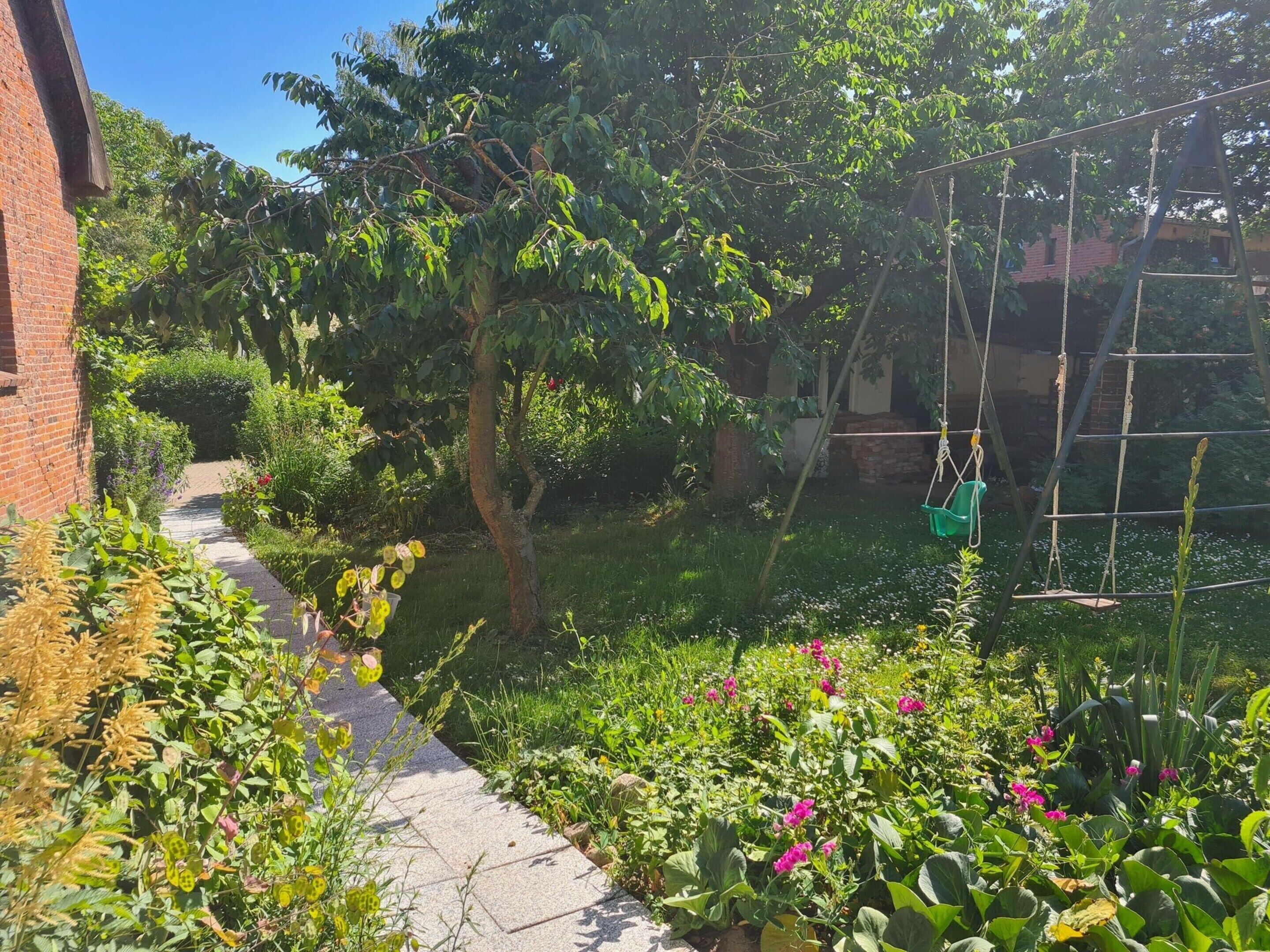 A garden with a pathway, various plants, and a swing set.
