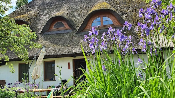 Un cottage dal tetto di paglia con due finestre ad arco, circondato da rigogliosa vegetazione e fiori viola.