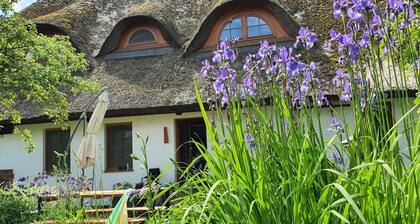Krusenhagen Apartment With Garden