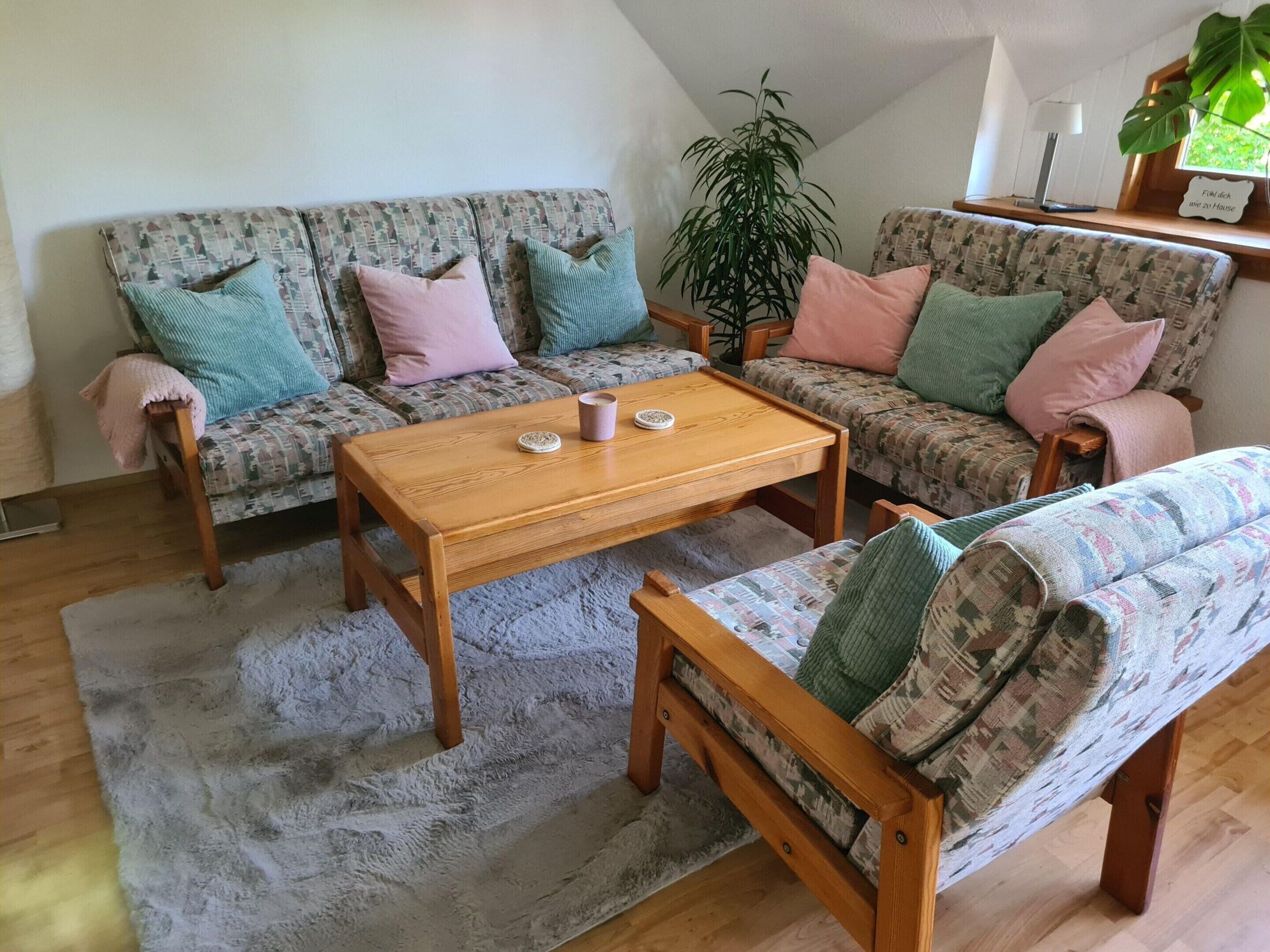 A cozy living room with two patterned sofas, a wooden coffee table, and a large potted plant.